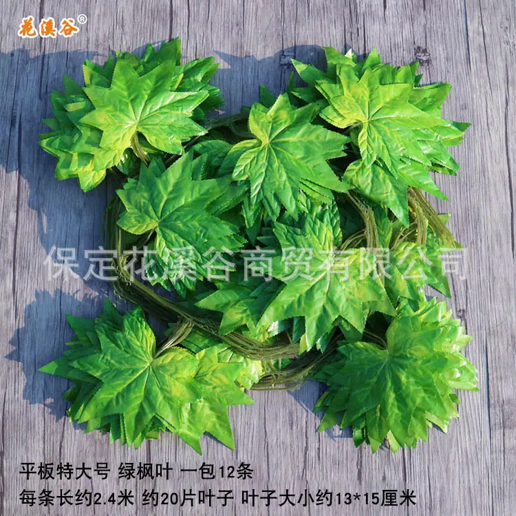 平板特大号绿枫叶.jpg