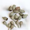 Frutas Secas e Flores Materiais DIY Velas Naturais Feitas à Mão Espécimes de Plantas Acessórios de Natal Decorações Florais Atacado de Fabricantes