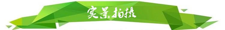 实景拍摄.jpg