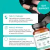 Cápsulas para Limpieza Intestinal de Venta Caliente Comercio Exterior Transfronterizo Soporte Intestinal Venta Directa de Fábrica