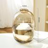 Lujo Ligero Maceta de Vidrio Monstera Adornos Reloj Colgante Hidropónico Sauce Nieve Madera de Caballo Cultura del Agua Arreglo Floral Decoración de Piso de Sala de Estar