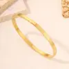 Pulsera de Acero de Titanio, Pulsera Simple Colorida Brillante para Mujer, Pulsera Anillo Sencillo de Acero Inoxidable de Alta Gama, Versátil para Parejas, No se Desvanece