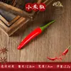 Decoração de Pimenta Verdura Falsa Pimenta Vermelha Picante Pimenta Verde Modelo Adereços de Fotografia Frutas Penduradas para Restaurante Brinquedos