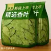 Hojas de Laurel Nuevas de Guangxi, Especias de Laurel para Cocina y Guisos, Hojas de Laurel Seleccionadas para Uso Doméstico y Comercial, Envasadas y Venta al por Mayor a Granel