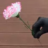 Cravos Vermelhos Baratos, Cravo Individual, Dia das Mães, Flores para Presente do Dia dos Professores, Flores Promocionais para Eventos, Dia da Mulher