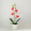 Orquídea Phalaenopsis Artificial con 4 Flores, Pequeño Adorno de Bonsái, Accesorio de Planta Verde para Fotografía, Decoración de Sala de Estar, Adorno de Flor Artificial para Película
