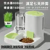 Dispensador Automático de Agua Potable Suministros para Mascotas Gato Gran Capacidad Todo en Uno Dispensador Agua y Comida Dos en Uno Comedero