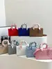 Moda Transfronteiriça Bolsa de Mão Simples Estilo Princesa Diana High-End 2026 Nova Bolsa Feminina Bordada com Lenço Ombro Único Transversal Bolsas