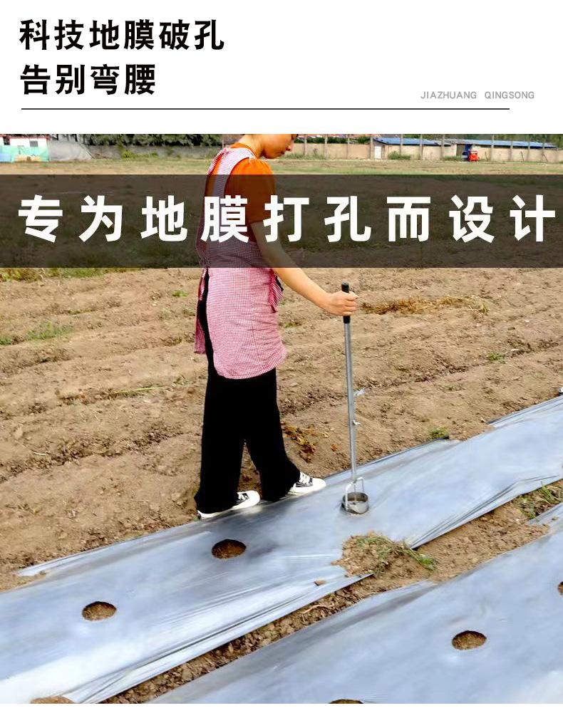 未标题-1_03.jpg