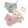 Gran Venta Ropa Interior para Niños Calzoncillos Triángulo Algodón Puro Pantalones Cortos para Bebés Niñas Pequeñas y Medianas Sin Pinza Pantalones Cortos para Bebés Niños PP