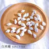Pacote de Material de Flores Secas Espécime Jardim de Infância Casca de Fruta Caseira Flor Seca Bolota Porta-Retrato Espécime Pinha Porta-Retrato DIY Feito à Mão