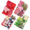 Flores Secas, Kit de Materiais para Prensagem de Flores Reais, Espécimes de Folhas Transfronteiriços, Espécimes de Plantas de Flores Prensadas DIY, Pétalas de Flores Secas para Resina para Artesanato