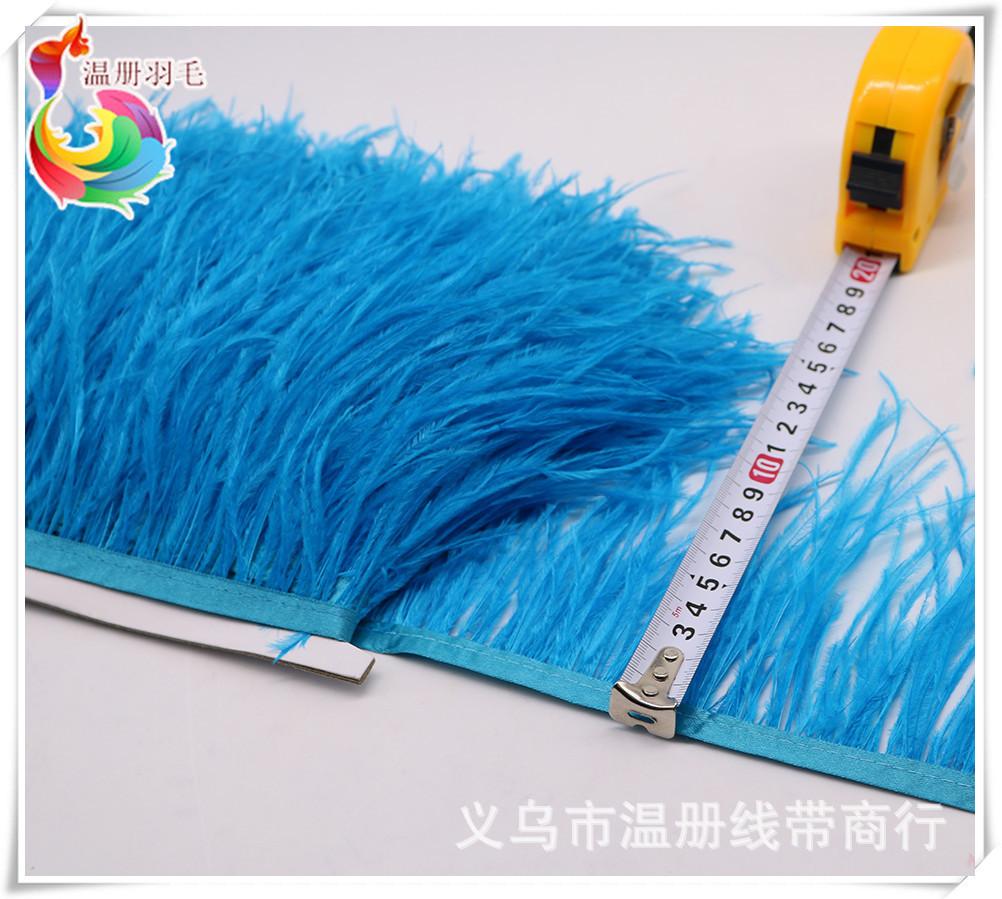 6 lake blue ostrich feather fr