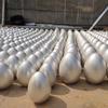 Ovos dourados de Páscoa ovos prateados lingote de ouro atividades ovos dourados presentes suprimentos de festival atividades promocionais de inauguração adereços ovos de cinco cores