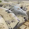 Juego de Cuatro Piezas de Franela Gruesa 100% Algodón Clase A Algodón Puro Algodón de Fibra Larga Color Nude Ropa de Cama Suave Funda de Edredón Estilo Sábana Ajustada Juego de Tres Piezas