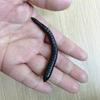 Gusano de Tierra Gusano Negro Largo Insecto Juguetes de Bromas Alta Calidad Creativo Spoofs Asustar a la Gente