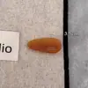 Pinza Pequeña Estilo Japonés-Coreano de Ácido Acético Pinza Lateral para el Cabello Pinza para Flequillo Lateral Accesorios para el Cabello de Mujer 2025 Nuevo Pinza de Pico de Pato de Alta Gama