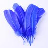 Directo de fábrica pavo nido pluma pluma al por mayor pluma de ave calamo artesanías de arco y flecha decoración materiales hechos a mano DIY