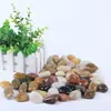 Pavimento de adoquines Five Jin, piedra de flor de lluvia, piedra original, pecera natural, paisajismo, decoración del hogar, jardín, piedra blanda de ganso, patio