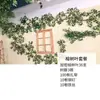 Folhas, galhos, videiras, flores artificiais, trepadeiras, canos, pilares, plantas trepadeiras, plantas verdes, plantas de parede, cobrindo imperfeições, decorações