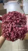 [Niebla Natural Hortensia] Flor Eterna Flor Seca Hortensia Anna Hortensia Lobular Material para Boda DIY Venta al por Mayor
