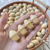 Peças de Escultura de Frutas Marfim Carvão Weathered Acessórios de Desenho Animado Peças de Mão Pulseira de Miçangas DIY Feita à Mão