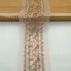 Cinta para Cuello Hanfu de Estilo Chino Tradicional Color Champán Accesorios para Ropa, Accesorios de Malla, Lentejuelas Iridescentes y Perlas de Alta Resistencia en Stock