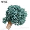 [Hortênsia Extremamente Florada] Cor Gradiente Anna Hortênsia de Folha Pequena Flores Preservadas Atacado Material de Flores DIY Acessórios para Caixa de Flores