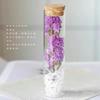 Enviar a você um pequeno tubo de ensaio de vidro de flor vermelha, buquê de flores secas, frasco de desejos eternos, espécime de presente de aniversário de formatura de casamento