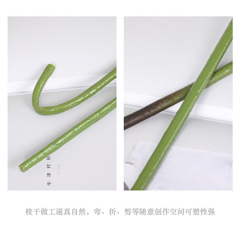 初尘荷花系列_17.jpg