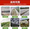 Muestra gratuita empalme transfronterizo lámina red para insectos invernadero red para insectos invernadero 2.5*10 metros red para plantas agrícolas jardinería