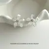 Brincos de Flor de Concha Triturada Naturais para Mulheres, Zircônia, Exquisitos, Elegantes, Modernos, Versáteis, Estilosos, Brincos Delicados