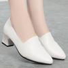 Sapatos femininos de camada única Four Seasons, couro macio, sola macia, sapatos de couro confortáveis, primavera e outono, sapatos femininos de salto médio, sapatos de trabalho, sapatos para mães de meia-idade e idosos