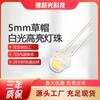 Lámpara de Paja F5, Perlas de Lámpara Luz Blanca LED Transparente, Cabeza Redonda, Diodo Emisor de Luz de 4.8 mm, Perlas de Lámpara de Enchufe de 5 mm en Stock
