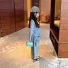 Conjunto de Três Peças Estilo Coreano para Meninas: Colete, Blusa de Manga Longa e Calça de Pernas Largas, Novidades para Primavera e Outono de 2026