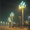 Lámpara led Magnolia 8 M 10 m cuadrada Estación de carretera lámpara de paisaje exterior Ingeniería Municipal lámpara china farola de poste alto