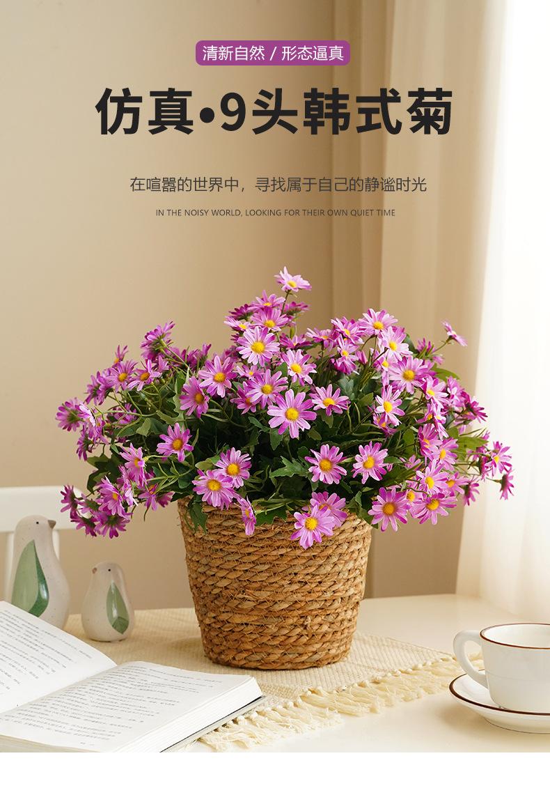 9头韩式菊_01.jpg