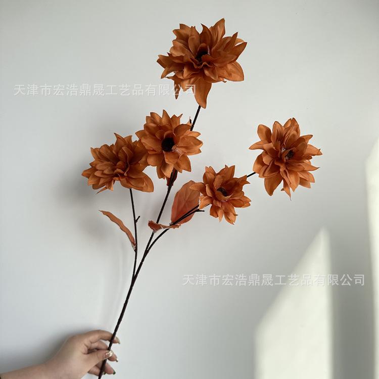 微信图片_202303151643023_副本