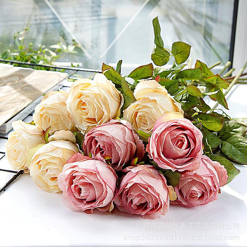 单支复古英国玫瑰