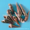 Artesanías de Caracolas Naturales Vendidas por Libra para Acuarios, Fotografía, Educación de Estudiantes y Niños, Minería y Uso Marino