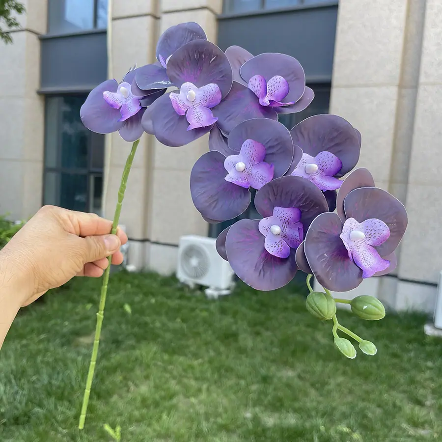 9头短杆3D打印蝴蝶兰-xlmwdx-深紫蓝.JPG