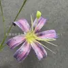 3 Cabezas de Lirios Dorados sin Hojas, Pared de Flores Artificiales para Bodas, Decoración Suave para Arreglos de Piso, Arreglos Florales para Campos Deportivos, Decoraciones de Escaleras y Sets de Fotografía
