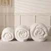 Fibra de Álcool Polivinílico Modificado com Proteína 30% Tipo A Colcha 100% Algodão, Colcha de Soja, Colcha de Algodão Puro, Colcha de Primavera e Outono, Colcha de Inverno