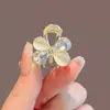 Exquisito Pasador Pequeño de Garra Ojo de Gato con Pedrería para Mujer Super Hada Pinza Pequeña con Lazo Horquilla para Flequillo del Frente Tocado