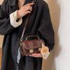 Los Bolsos Boston de Moda de Este Año Tienen un Aspecto de Lujo, Nuevos Bolsos Cruzados de Nicho para Mujer para Otoño/Invierno 2026, y Bolsos de Mano Tipo Almohada