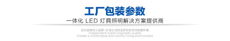 5050RGB-外置IC-灯带详情-水印-可望_01.jpg