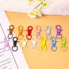 Acessórios de jóias DIY: fivela de cachorro colorida com argola de fecho, gancho de fecho, chaveiro de metal pintado, materiais para pingente de bolsa