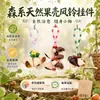 Kit de Material para Vento de Casca de Fruta Cultural e Criativo de Yunnan para Montagem DIY Sino de Casca de Fruta Estilo Floresta Feito à Mão para Mochilas e Decorações de Casa