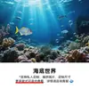 Venda Direta de Fábrica Adesivos de Fundo para Aquário Mundo Subaquático Aquário Exterior Autoadesivo PVC Paisagismo Papel de Parede Decorativo