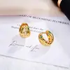 Brincos High-End de Luxo Leve Europeus e Americanos da Moda, Presilhas de Orelha Dupla Face com Cabeça de Cobra, Brincos Personalizados com Zircônia Microincrustada Diários para Mulheres